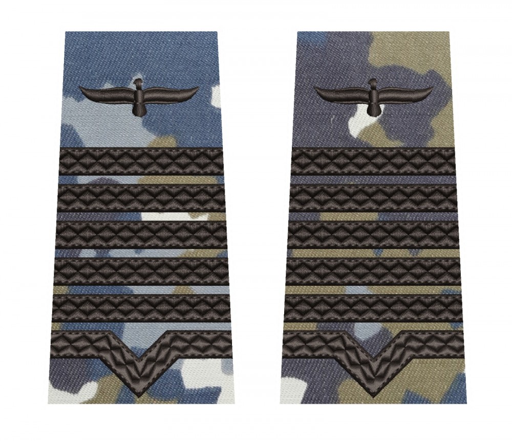 GRADE MAISTRU MILITAR PRINCIPAL COMBAT AVIATIE